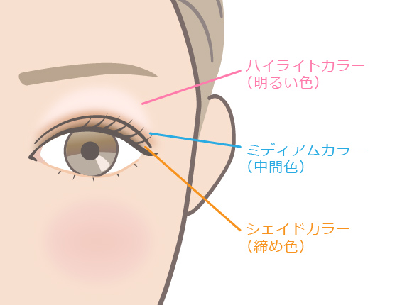 アイシャドウの塗り方１から教えます パレット使いから色選びのコツを知って もっとアイメイク上手に コージー本舗