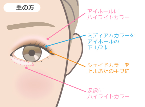 アイシャドウの塗り方１から教えます パレット使いから色選びのコツを知って もっとアイメイク上手に コージー本舗