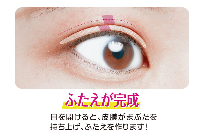 ぺえは マツコ会議 で人気に バレーボールが特技でメイクテクニックがすごい コージー本舗